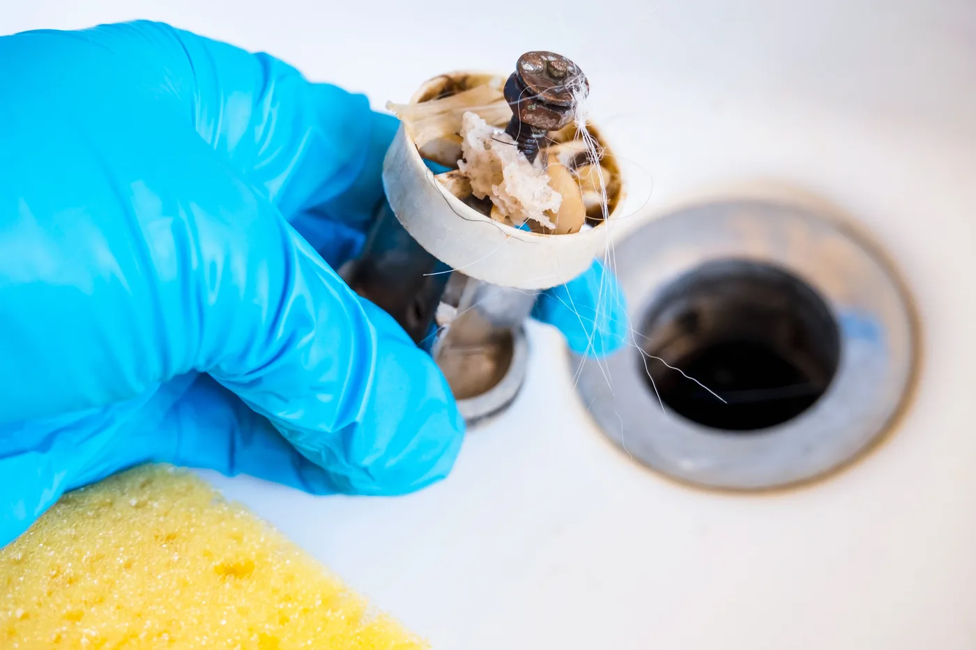 Clogged sink strainer pulled from a kitchen drain